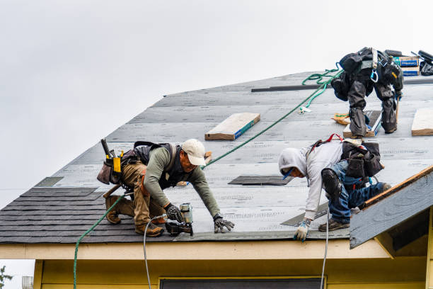Professional Roofing technician working in Donald, OR